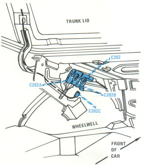 LH Side of Trunk