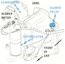 RH Side of Engine Compartment