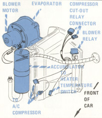 Right Side of Engine Compartment