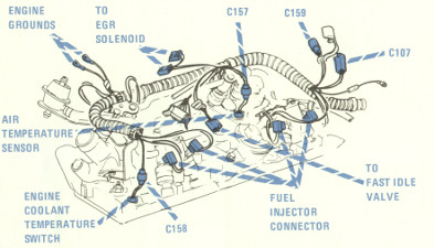 Top of gasoline engine